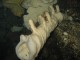 Thumbs/tn_DSechelt 024.jpg